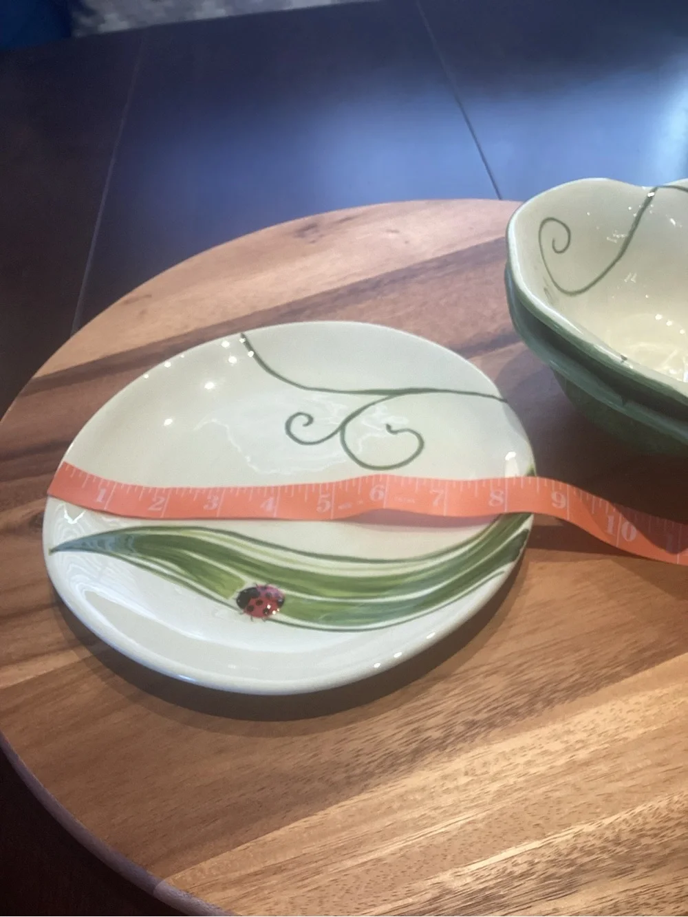 Pier 1 ladybug Salad Plate & bowls (2) set like new Heart Shaped Botanical
